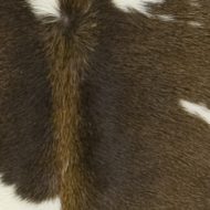 Black Brown and White Special Cowhide Detail