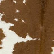 Brown and White Special Cowhide Detail