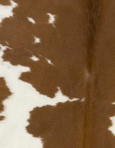 Brown and White Special Cowhide Detail
