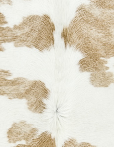 Beige and White Special Cowhide Detail