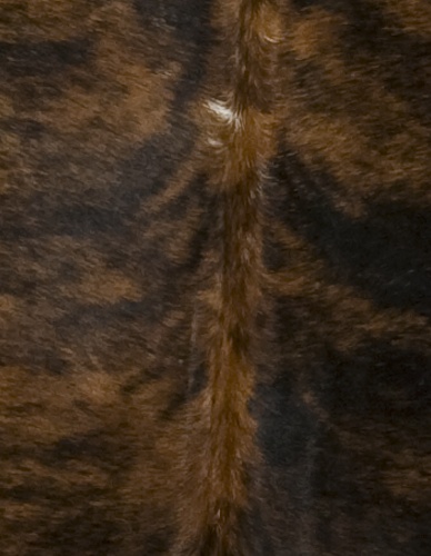 Dark Tri Color Special Cowhide Detail