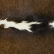 Black Brown and White Cowhide Detail