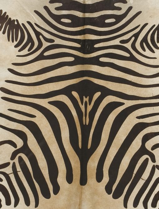Devore: Rustic Zebra Brown on Beige Cowhide