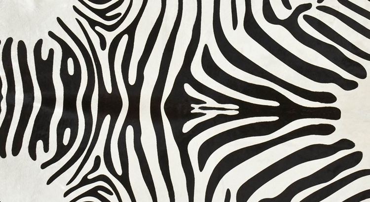 Black Leather Trimmed Zebra Cowhide | MOSS MANOR