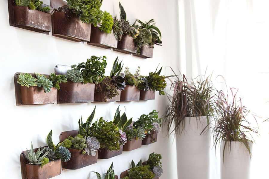 Rustic Wall Planter  MOSS MANOR: A Design House