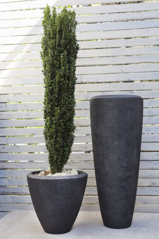 Bella Charcoal Gray Stonecast Pot & Planter Collection