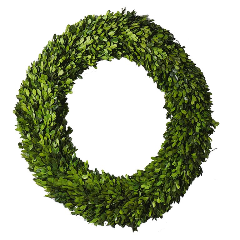 Preserved Boxwood Wreath, Set of Two - Moss Manor