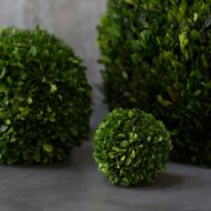 Boxwood Spheres Sphere Set Natural Preserved Hand Made Oversized Extra Large