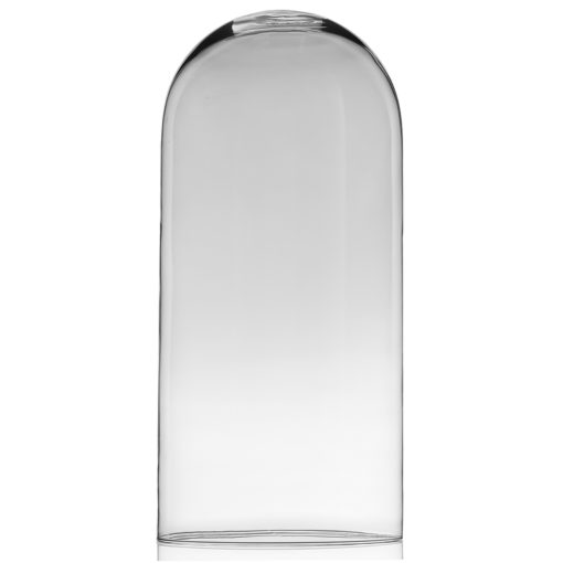 Renoir Clear Glass Cloche Cloche Terrarium, Large