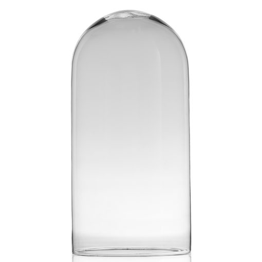 Renoir Clear Glass Cloche Cloche Terrarium, Medium