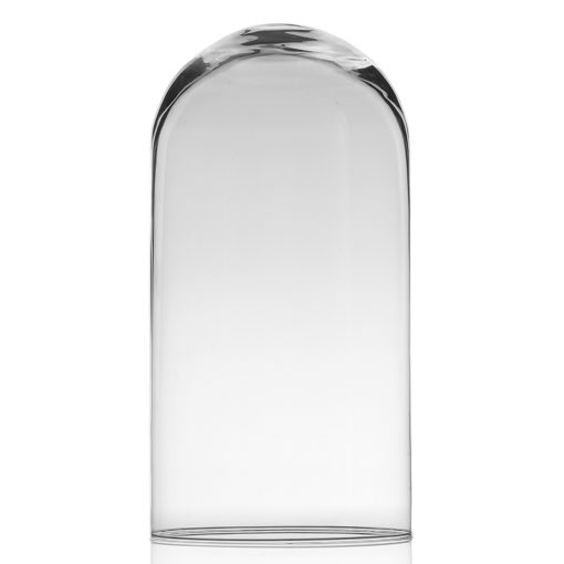 Renoir Clear Glass Cloche Cloche Terrarium, Small