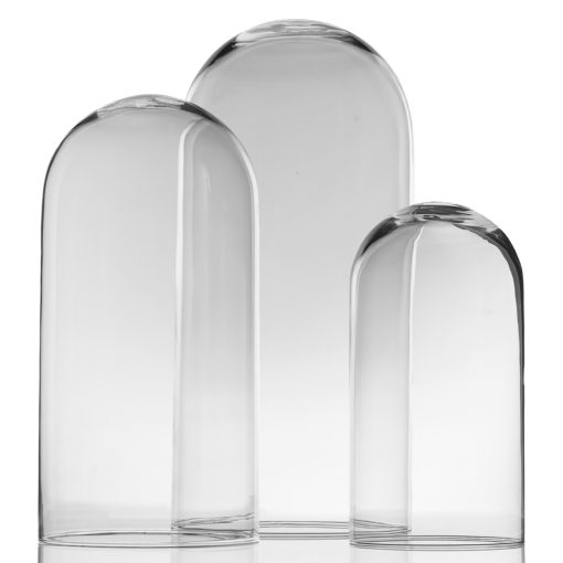 Renoir Clear Glass Cloche Cloche Terrarium, Set of 3