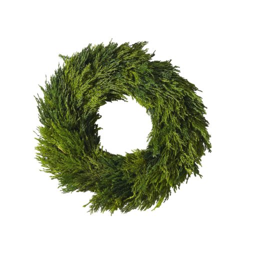 Preserved Cypress Wreath Candle Ring 12"