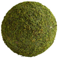 Bermuda Green Moss Filler Sphere Spheres