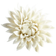 Chrysanthemum Porcelain Wall Flower Art Glazed White Ceramic Art
