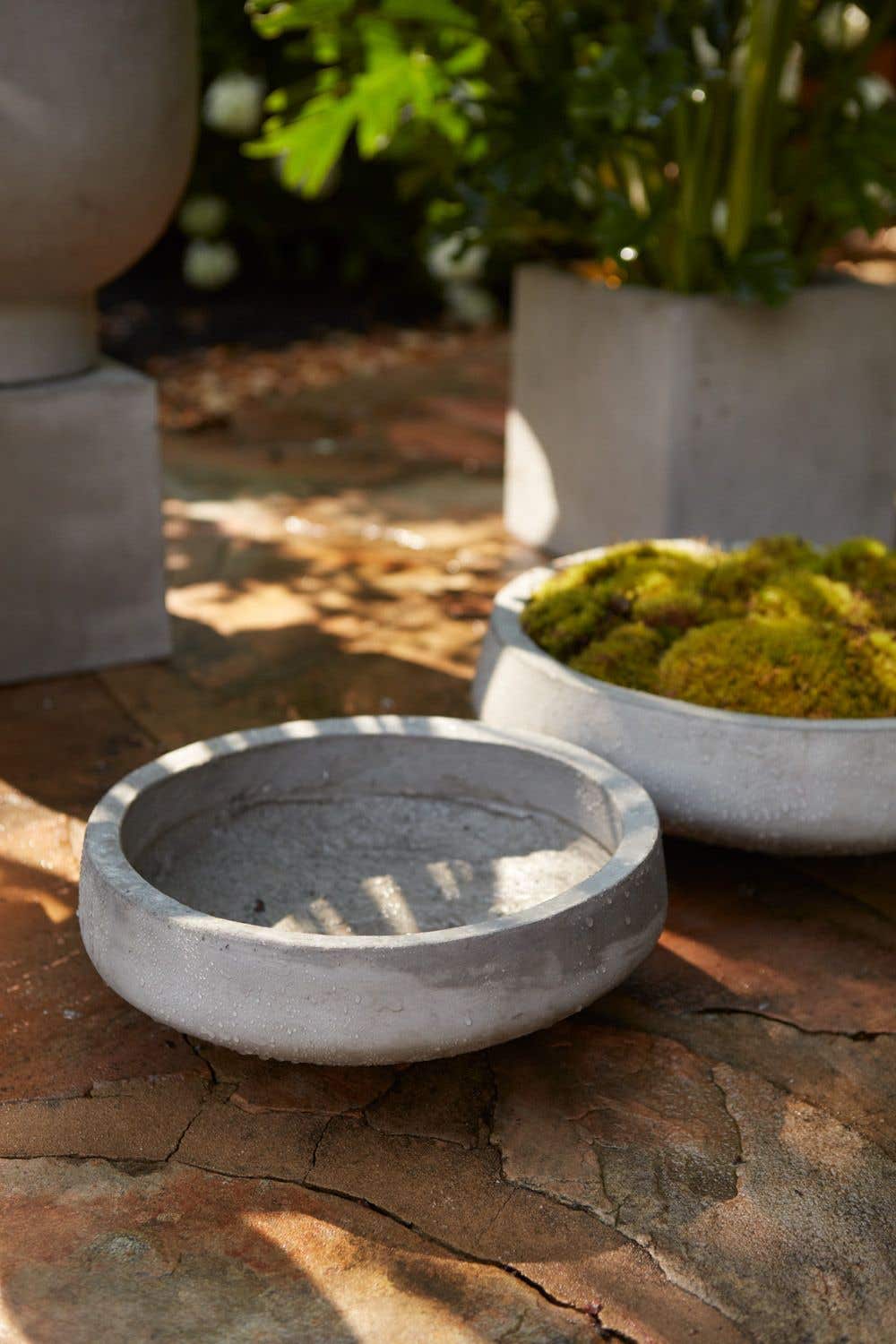 Handcrafted Concrete Moss Bowl – theindoorbotanists