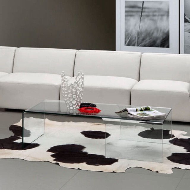 Expect the Unexpected: Cowhides