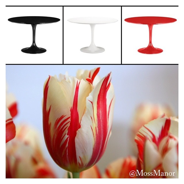 Choose the Right Dining Table
