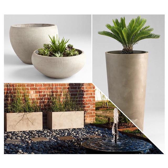 Summertime Bloom: Planters