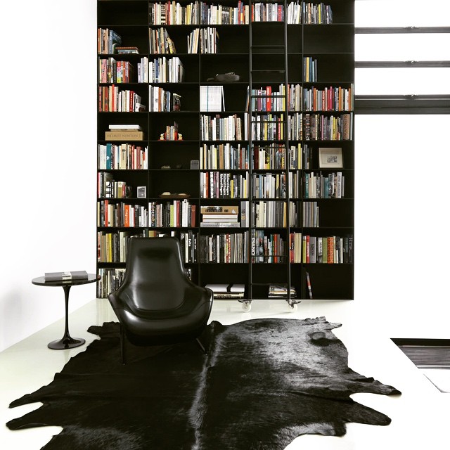 Back To Black: A Monochromatic Study
