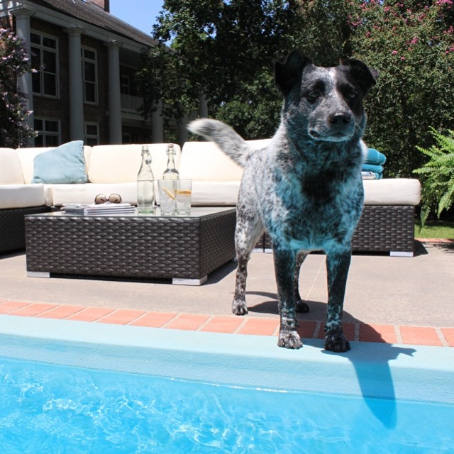 Summer Fun with Bocagrande!