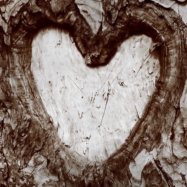 Happy Heart Day!