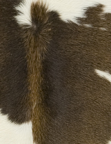 Black, Brown & White Special Cowhide - Image 2