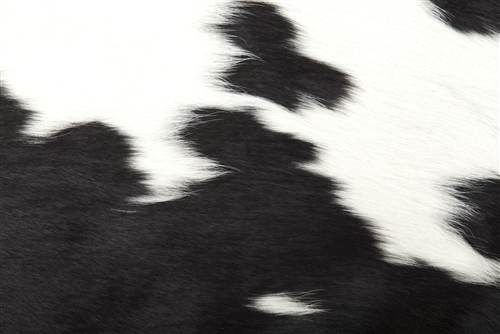 Black/White Natural Cowhide Rug