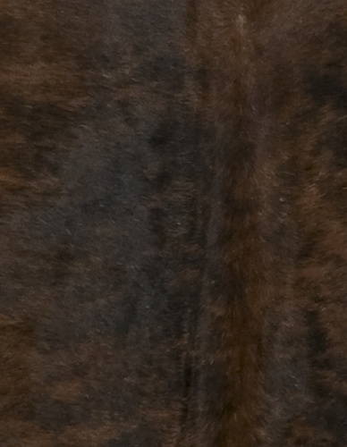 Dark Brindle Cowhide - Image 2