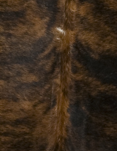 Dark Tri Color Cowhide - Image 2