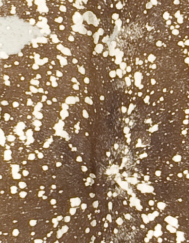 Devore Metallic Cowhide Rug in Black, Brown, White & Gold - Discontinued - Image 2