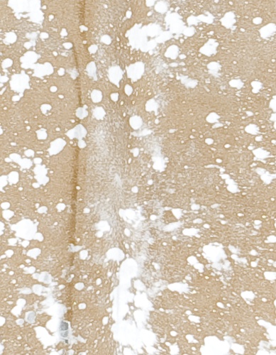 Beige with Silver Cowhide - Image 3