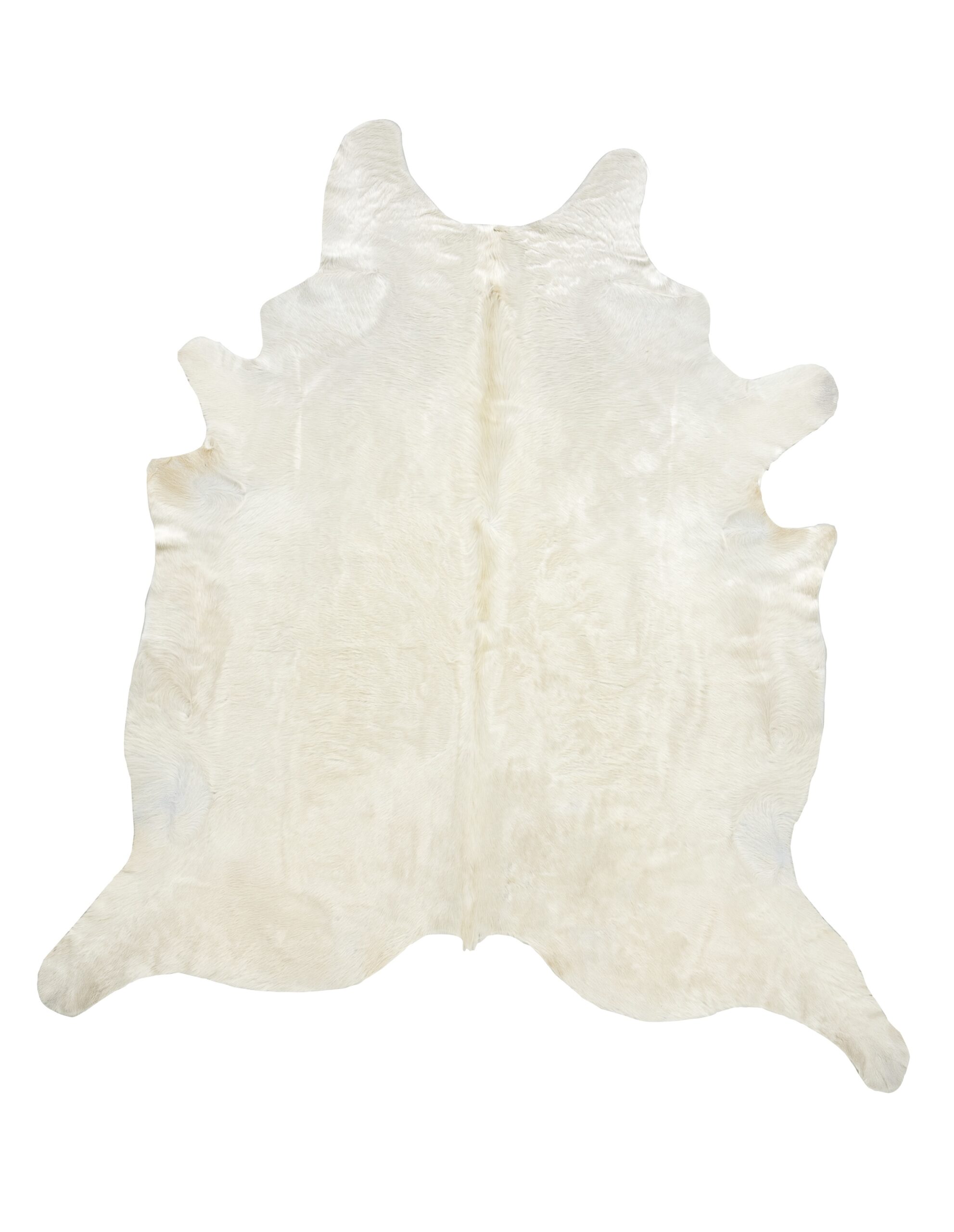 Long Hair Ivory Cowhide with Beige & Yellow Undertones - Discontinued