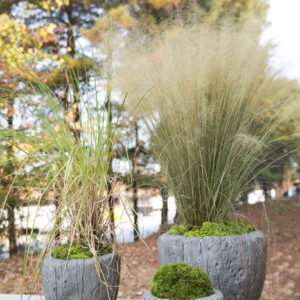 adler-round-modern-concrete-planter-moss-manor-AD96220.00-lifestyle-web.jpg