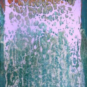 Alluvial Swamp Series: "Lilie Pond"