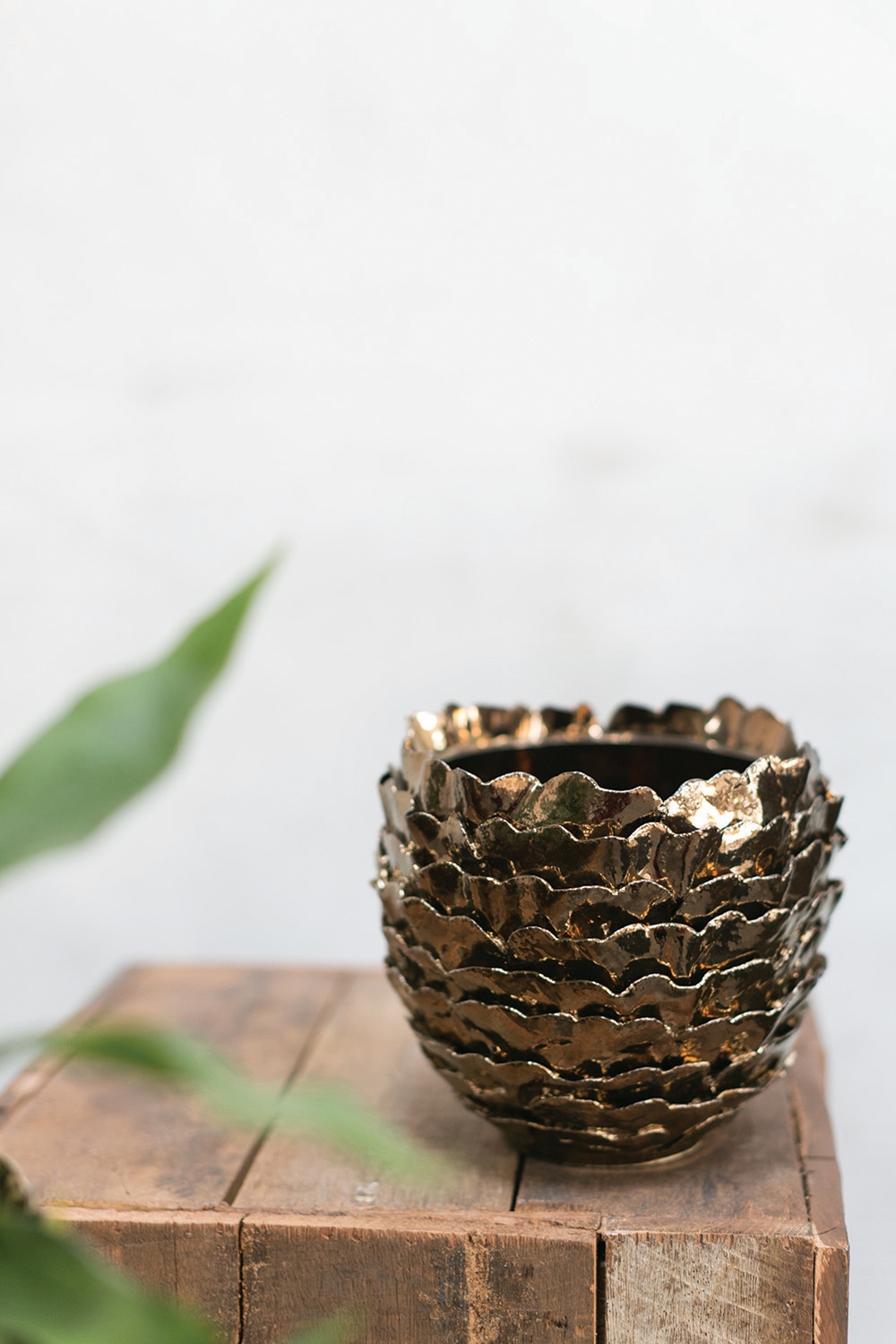 Artsi Pot Collection, Set of Two - Discontinued - Image 4