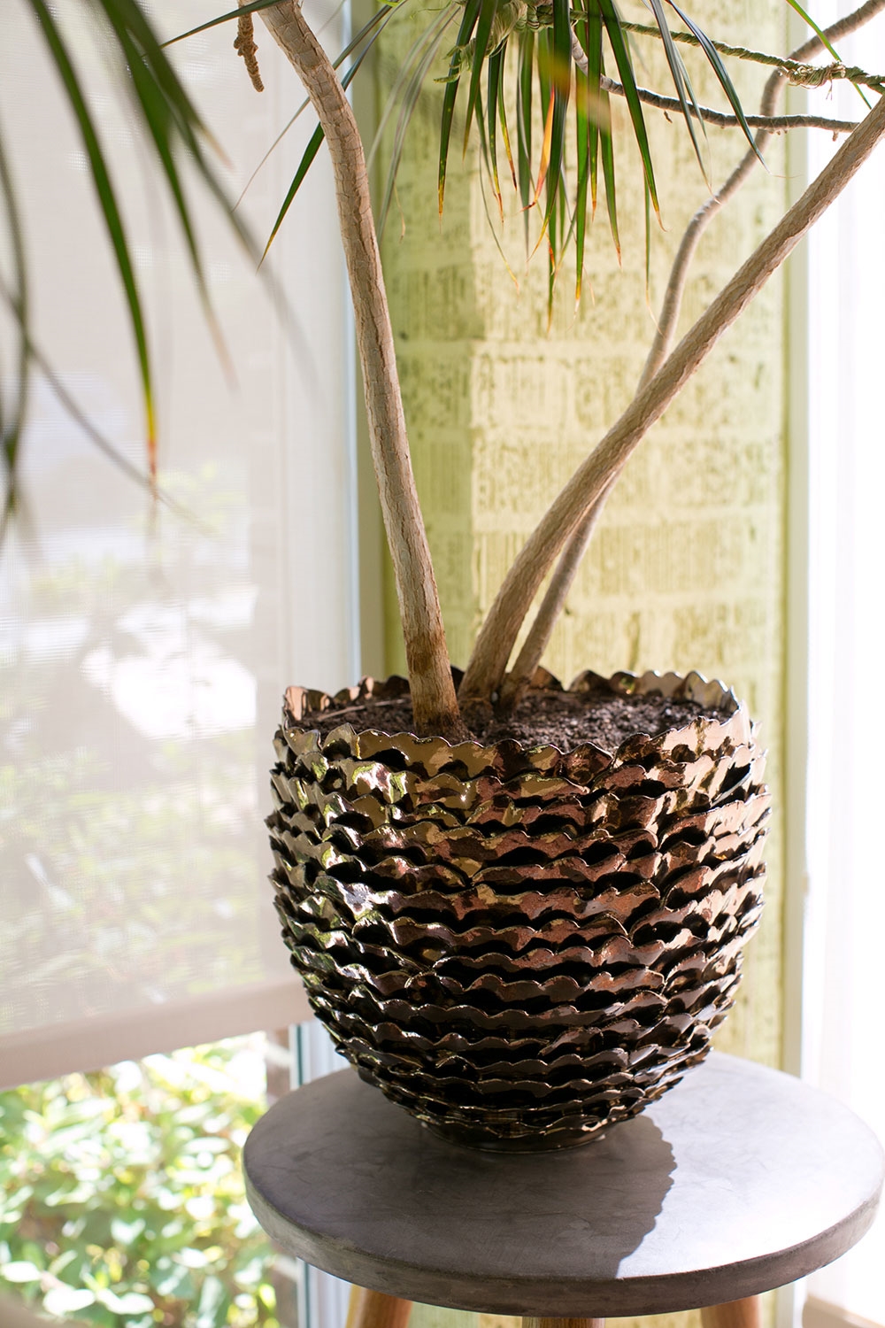 Artsi Pot Collection, Set of Two - Discontinued - Image 3