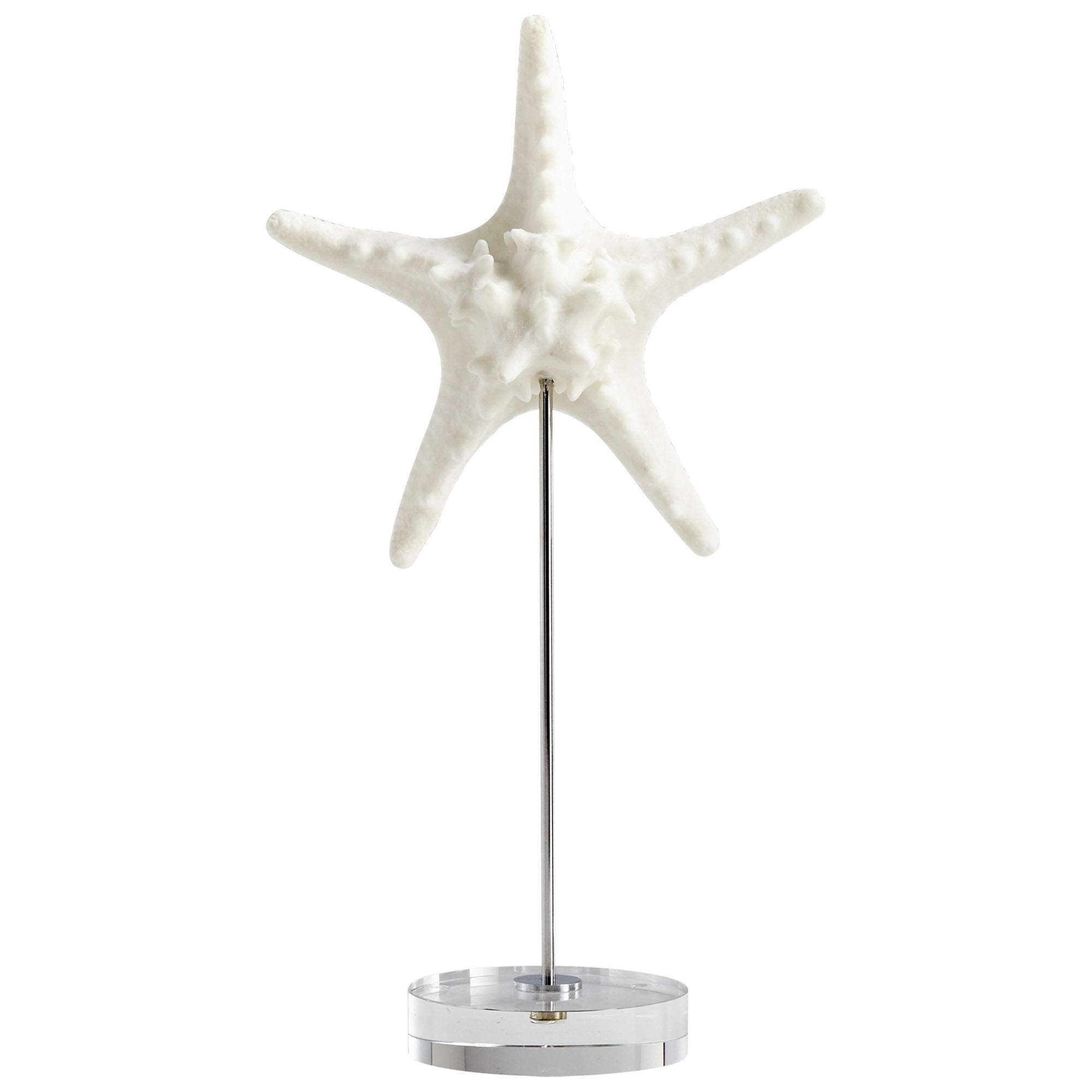 Asterina Starfish Shell Sculpture Collection - Image 2