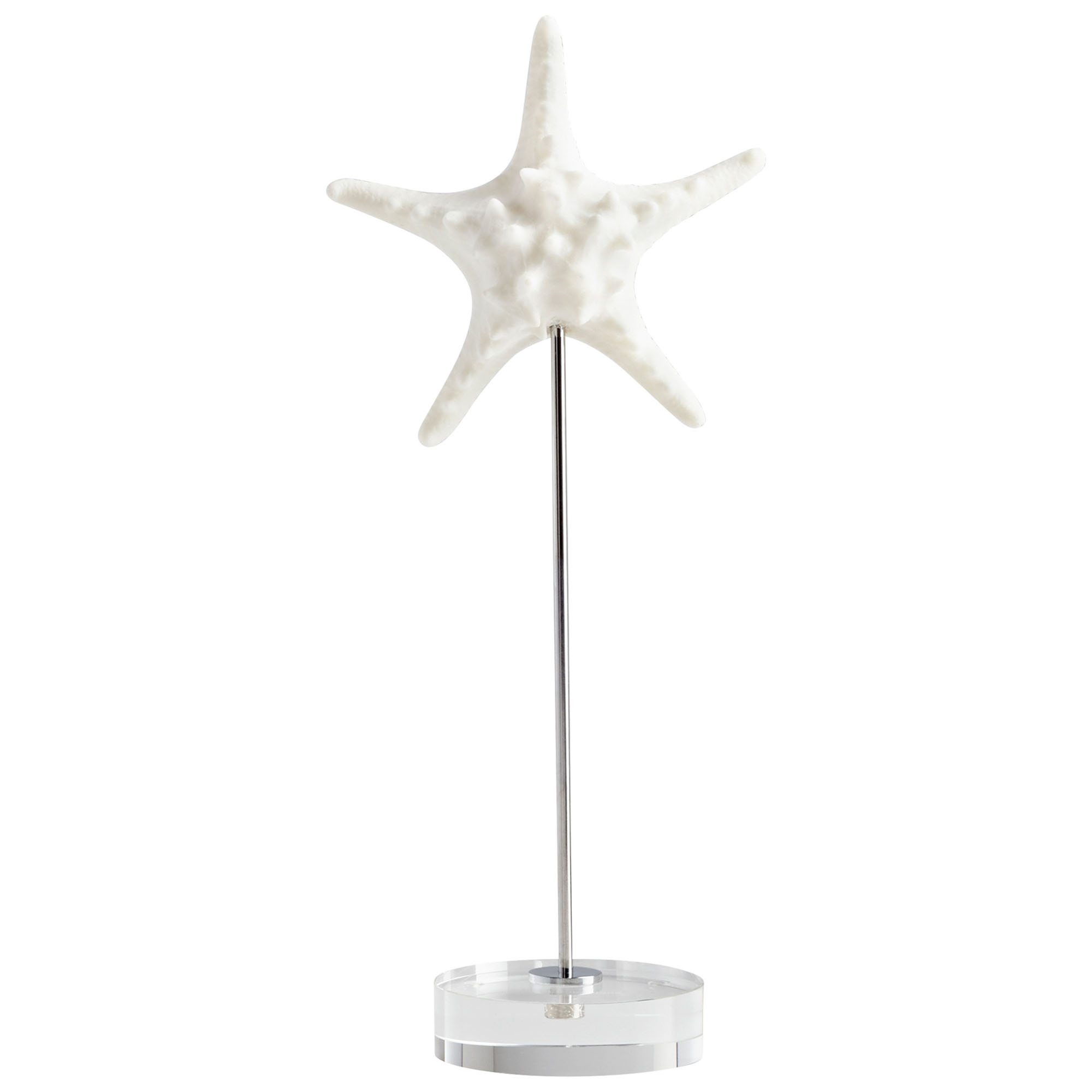 Asterina Starfish Shell Sculpture Collection - Image 3