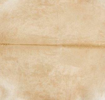 Beige Natural Cowhide - Discontinued - Image 2