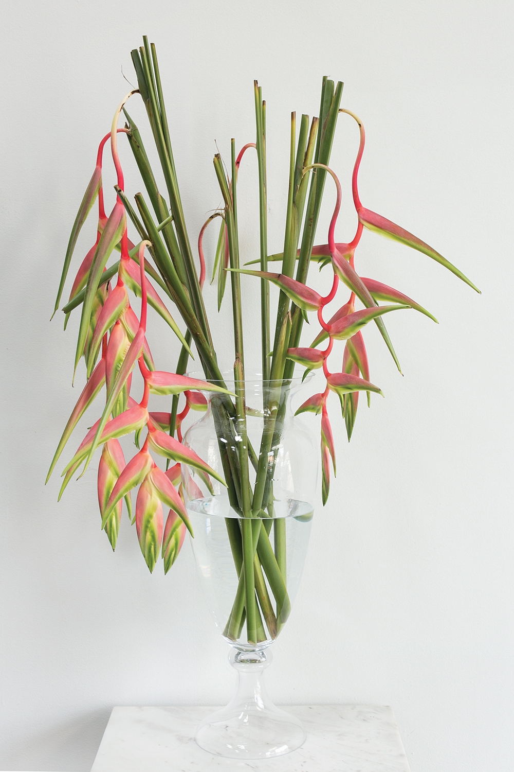 Belair Grand Vase Collection - Discontinued - Image 4
