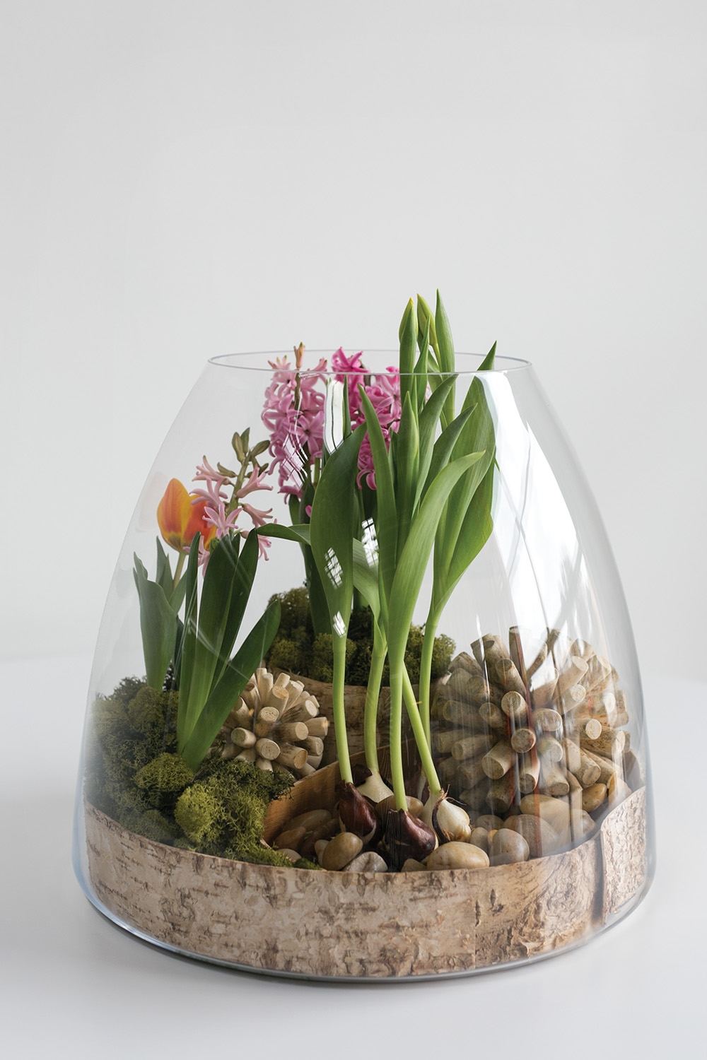 Oversized Bell Terrarium - Image 3