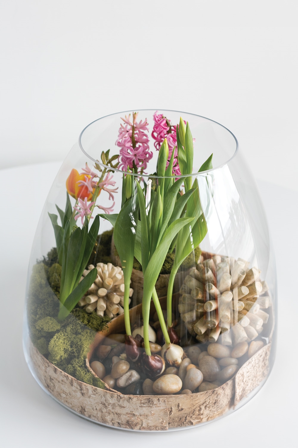 Oversized Bell Terrarium - Image 4