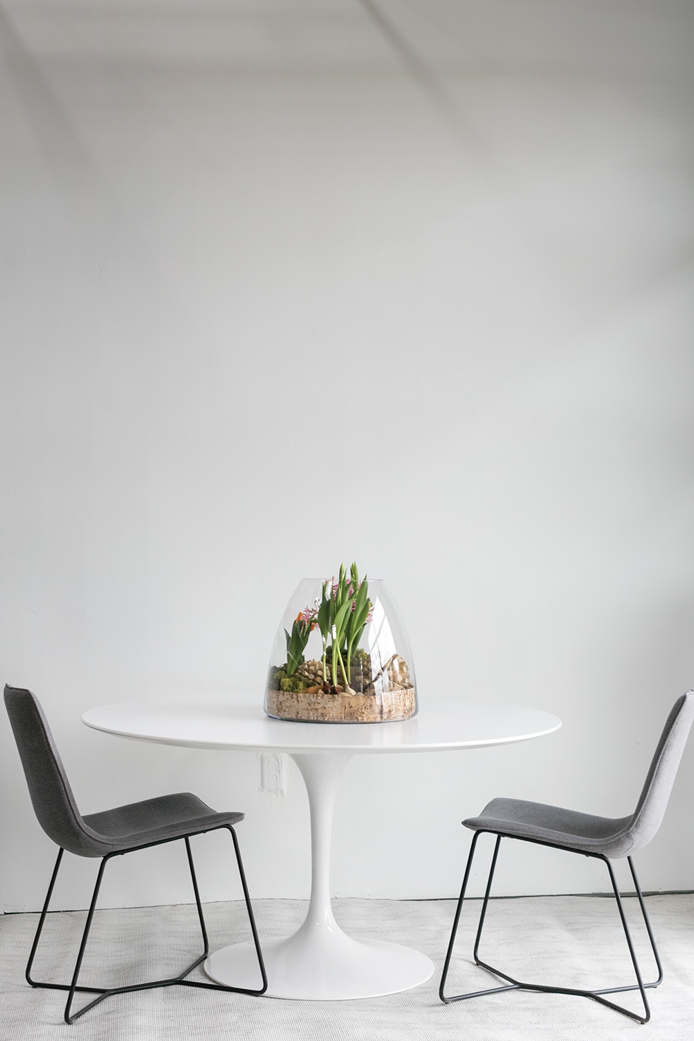 Oversized Bell Terrarium - Image 6