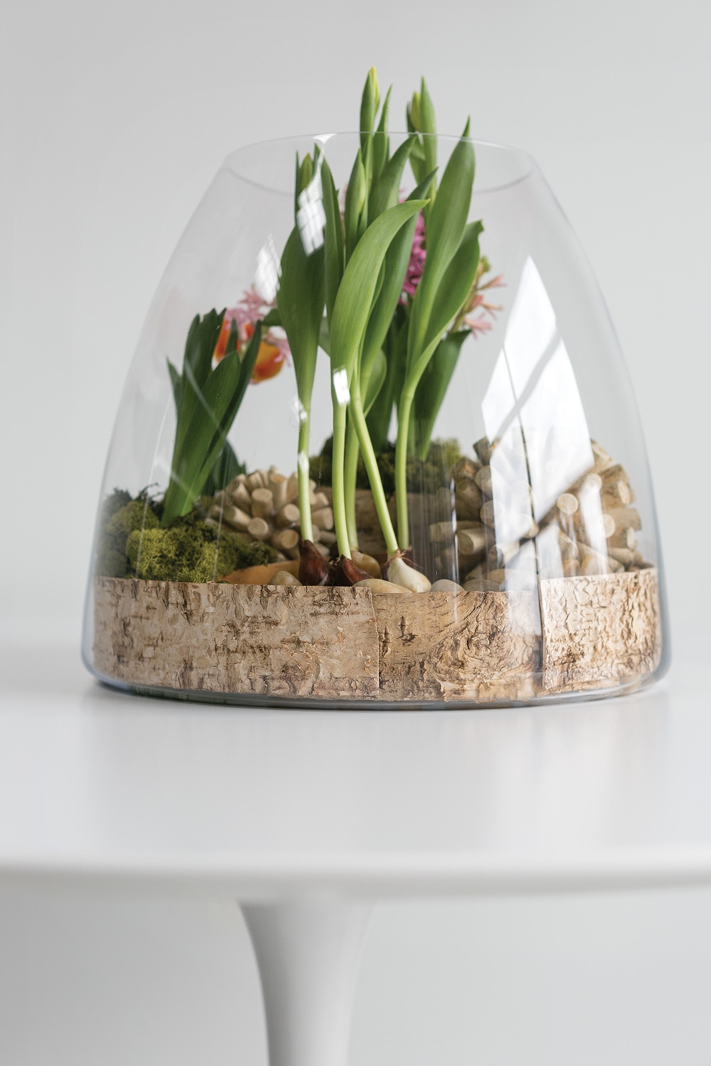 Oversized Bell Terrarium - Image 7