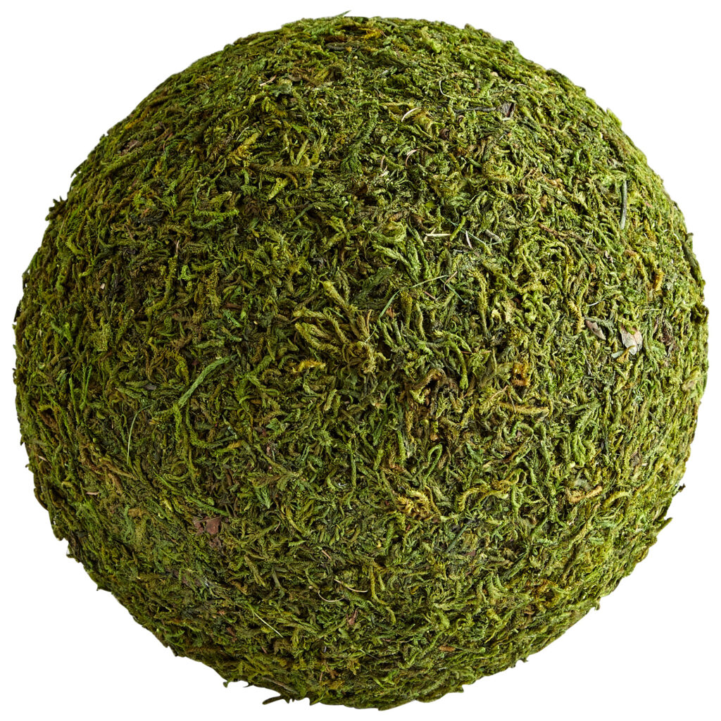 Bermuda Moss Sphere Collection