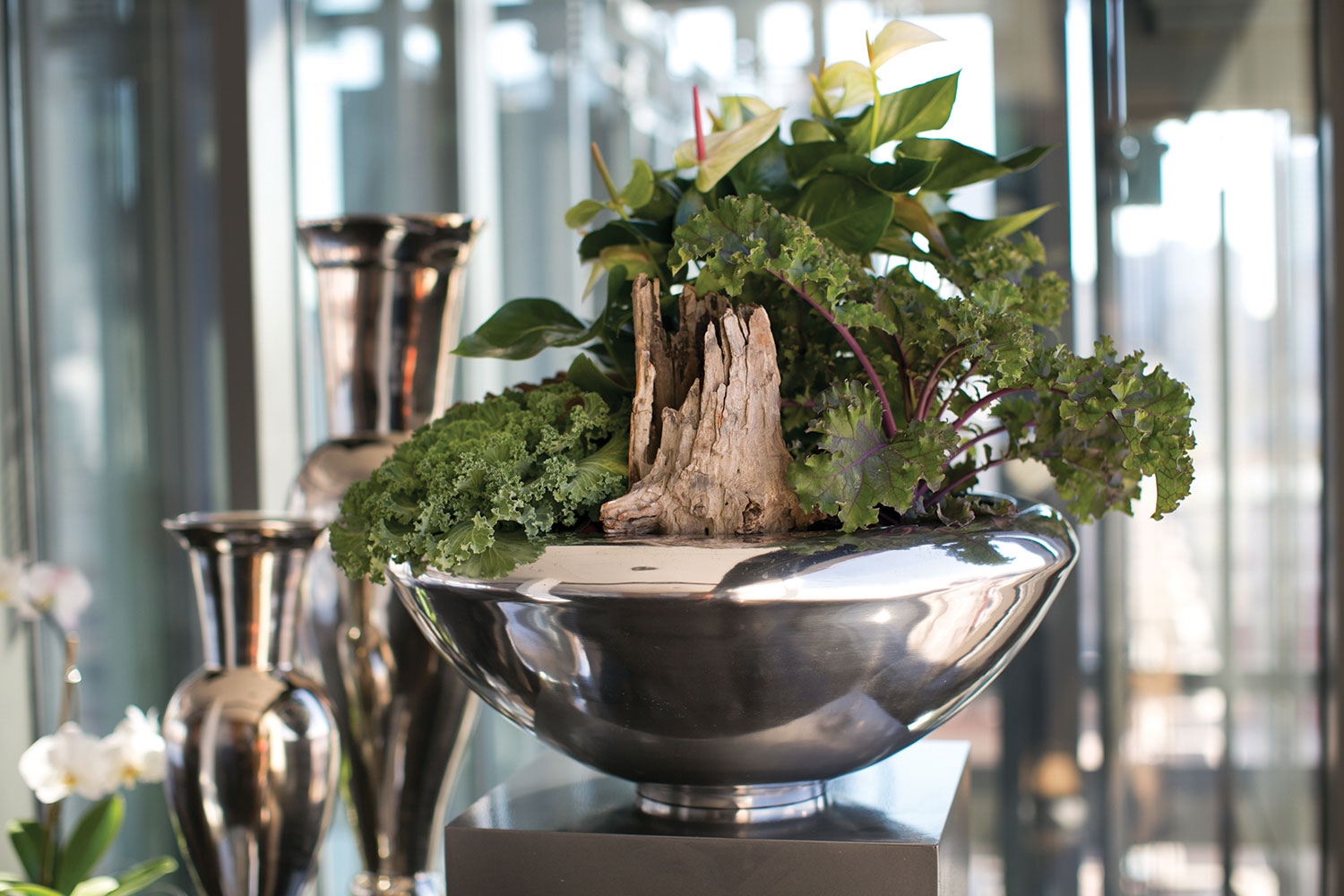 Boulevard Chrome Display Bowl - Image 3
