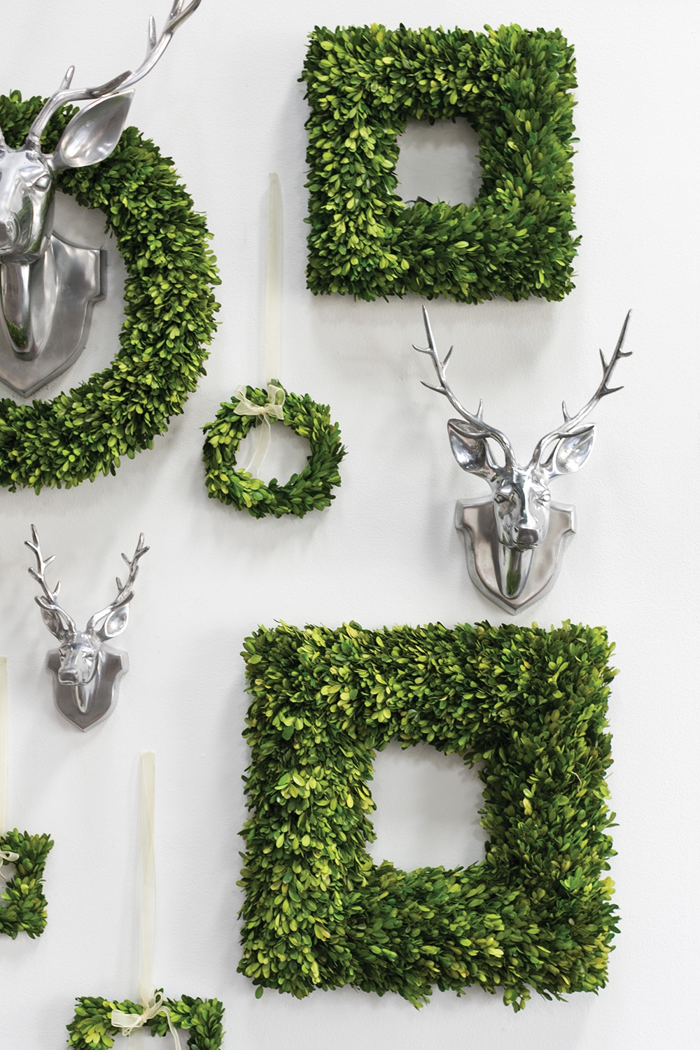 Preserved Boxwood Wreath, Set of Two - Discontinued - Image 2