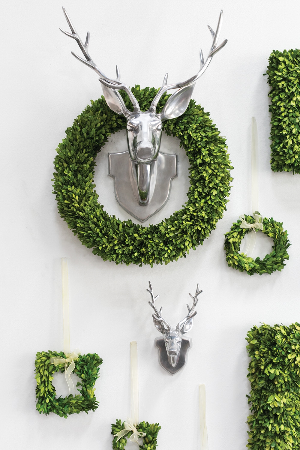 Preserved Boxwood Wreath, Set of Two - Discontinued - Image 5