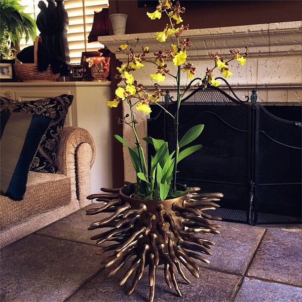 Brass Roots Planter Set of 2 DISCONTINUED - Image 3